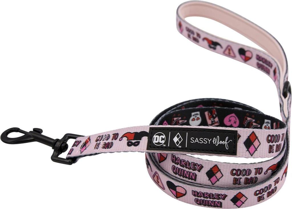 DOG LEASH - HARLEY QUINN™